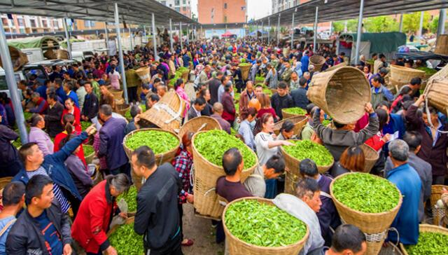 合肥哪里有好的茶葉批發(fā)市場？